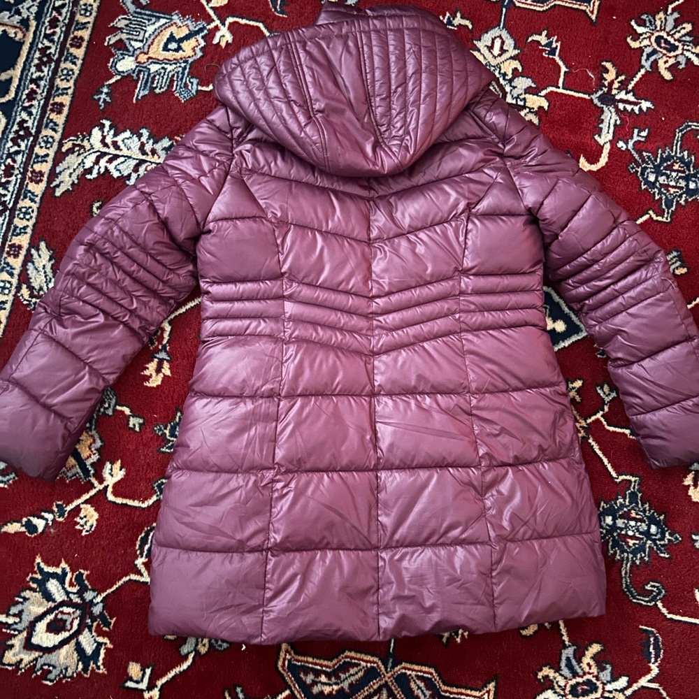 GUESS
Water Resistant Hooded Puffer Jacket In Jam Size
Large - Picture 2 of 12